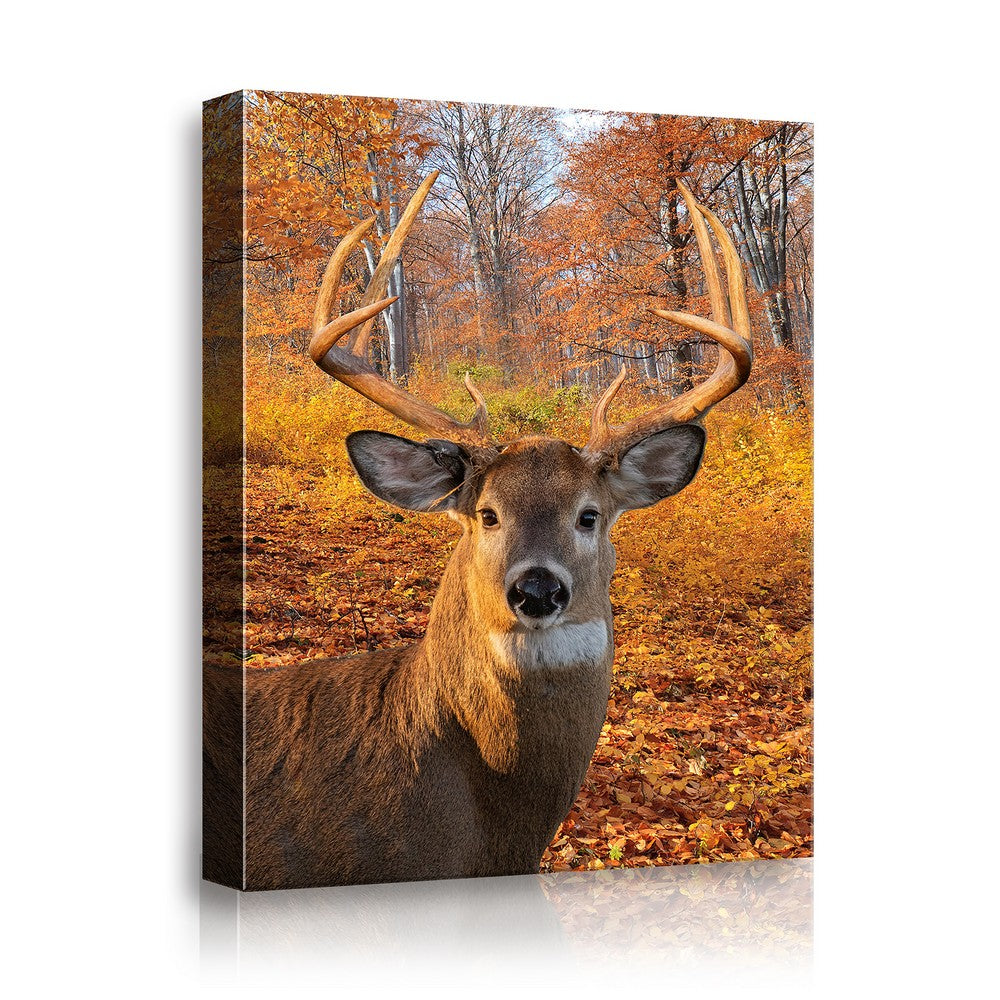 ultra-High Definition Canvases print  (Minimum of 4)