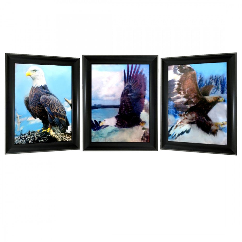 Flying Eagle 3D Lencticular Picture (MINIMUM OF 4)