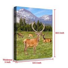 Load image into Gallery viewer, ultra-High Definition Canvases print  (Minimum of 4)
