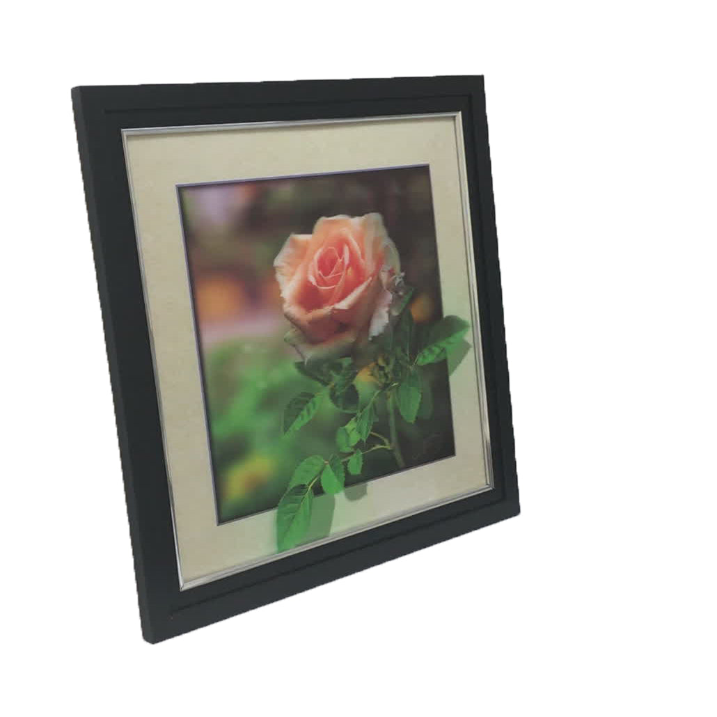 436 Rose 5d Lenticular Picture Frame 18x18  (MINIMUM OF 4)