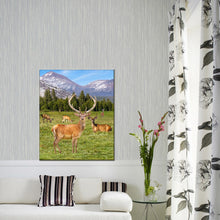 Load image into Gallery viewer, ultra-High Definition Canvases print  (Minimum of 4)
