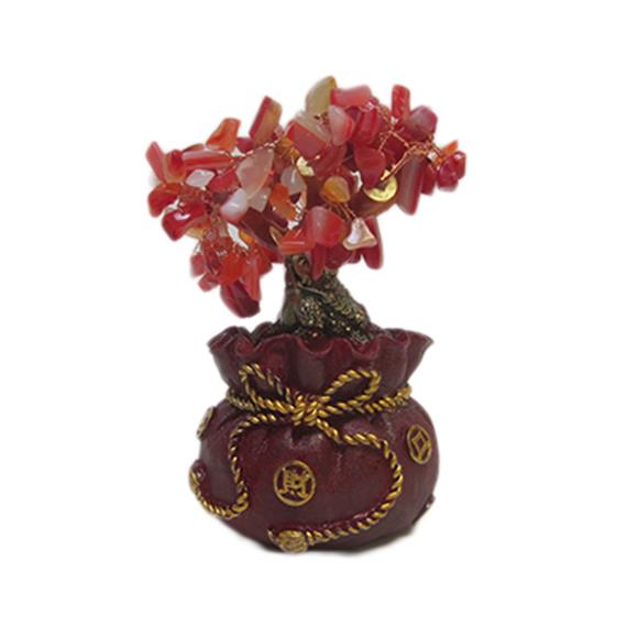 MONEY TREE