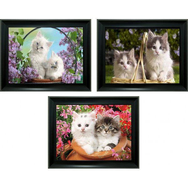 Kitten 3D Lencticular Picture  (MINIMUM OF 4)