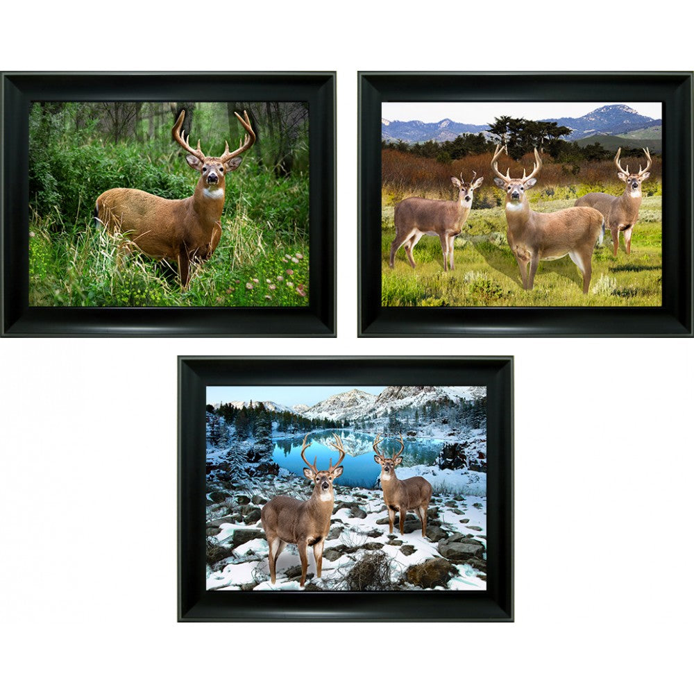 Deer 3D Lencticular Picture  (MINIMUM OF 4)
