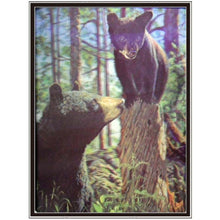 Load image into Gallery viewer, Bear 3D Picture size 14x18  (MINIMUM OF 4)
