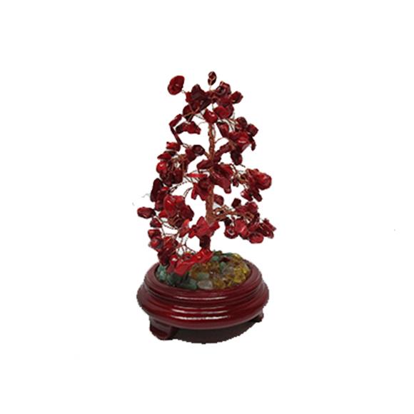 RED CORAL TREE