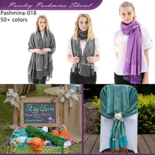 Load image into Gallery viewer, Light Paisley Pashmina Scarf Shawls 018
